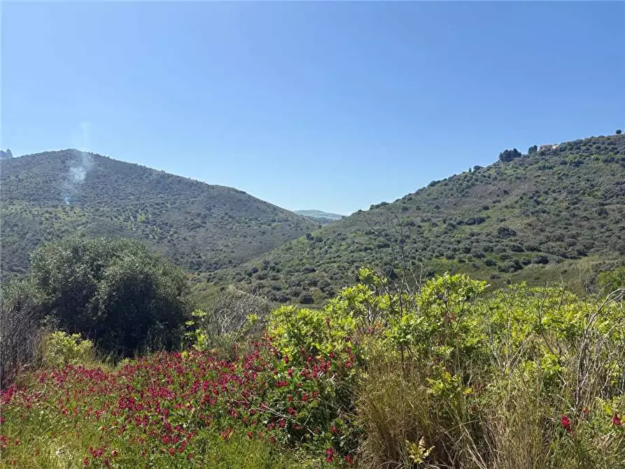 Immagine 2 di Terreno in vendita  in Via Mirio, snc a Casteldaccia
