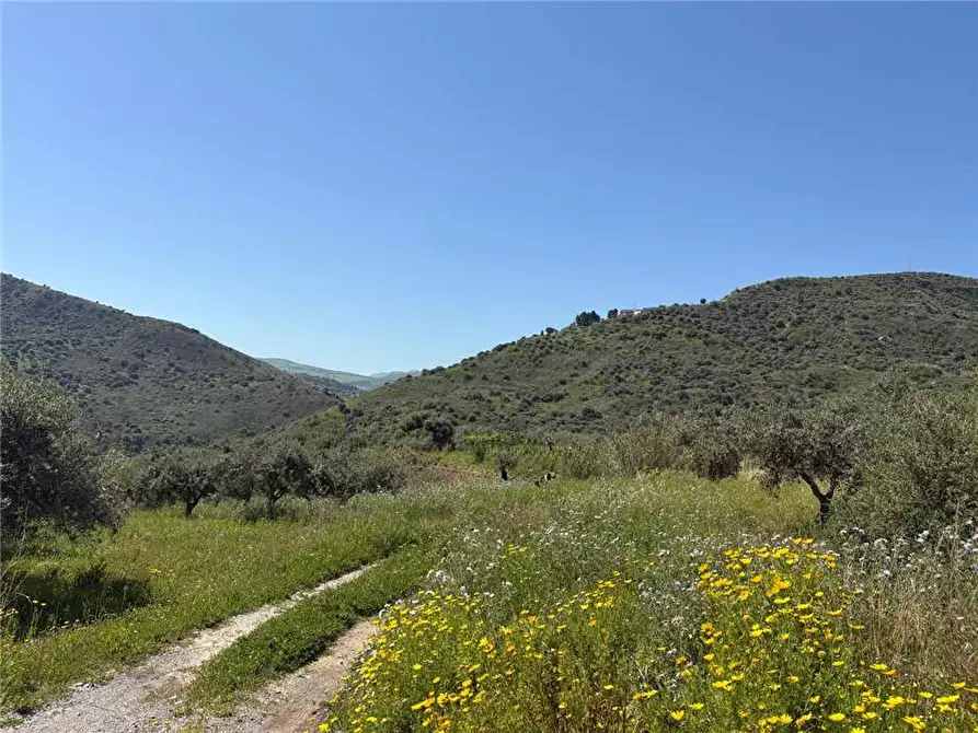 Immagine 3 di Terreno in vendita  in Via Mirio, snc a Casteldaccia