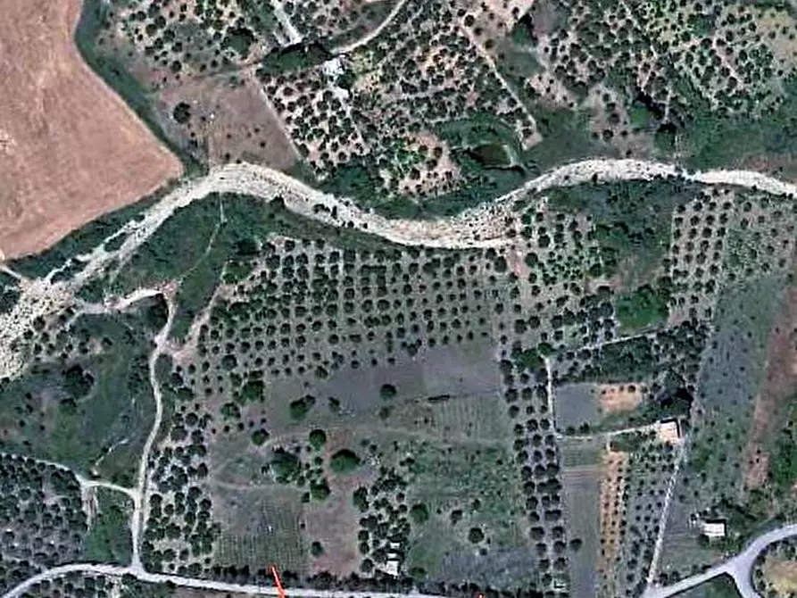 Immagine 10 di Terreno in vendita  in Loc. Strada traversa a Ventimiglia Di Sicilia
