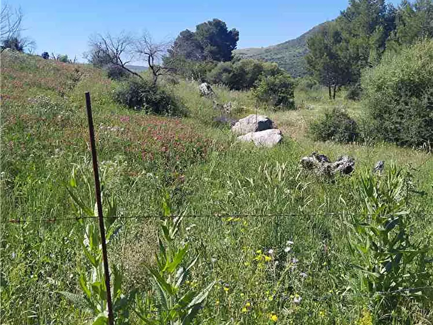 Immagine 2 di Terreno in vendita  in Loc. Strada traversa a Ventimiglia Di Sicilia