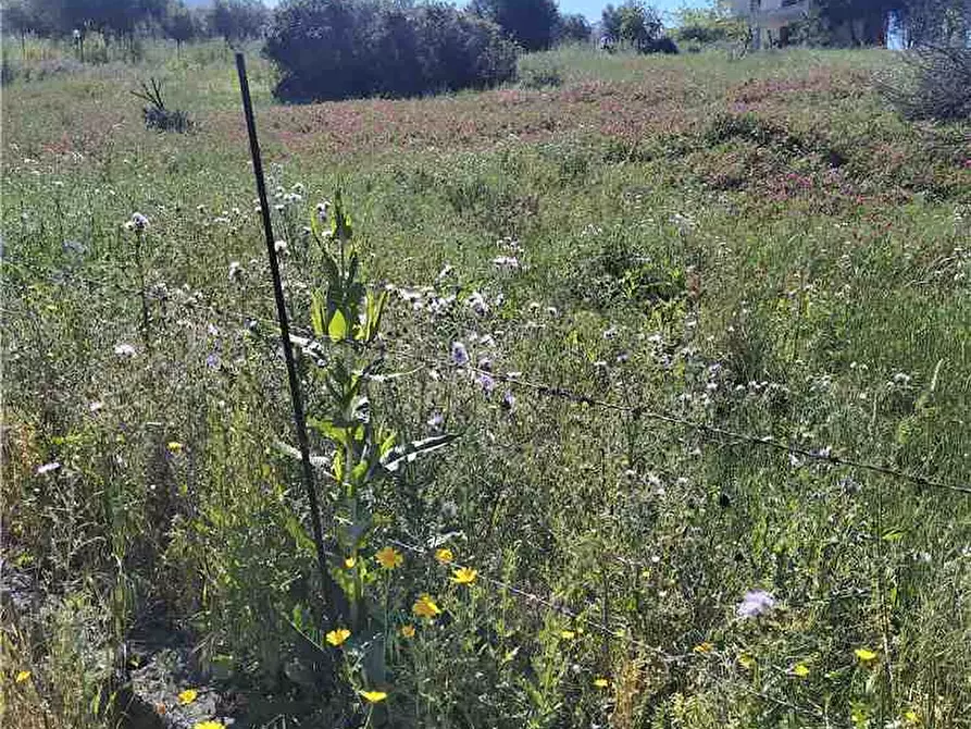 Immagine 3 di Terreno in vendita  in Loc. Strada traversa a Ventimiglia Di Sicilia