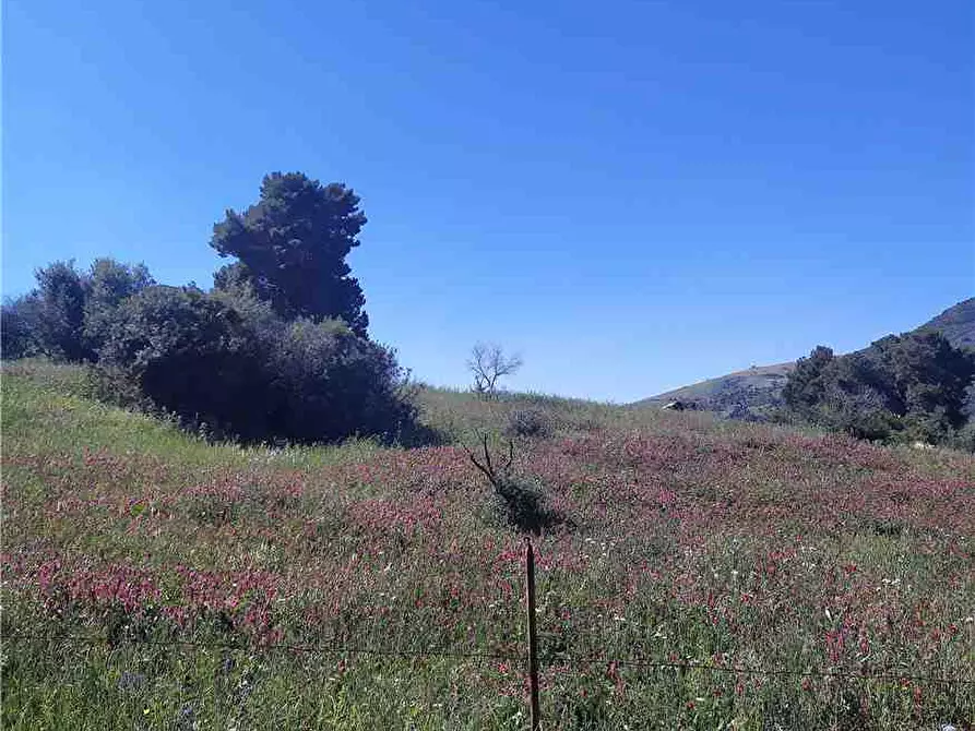 Immagine 4 di Terreno in vendita  in Loc. Strada traversa a Ventimiglia Di Sicilia