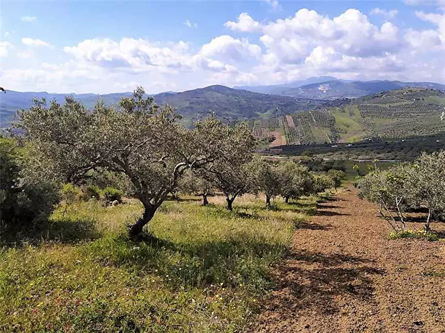 Immagine 1 di Terreno in vendita  in Loc. strada corvo valle a Ventimiglia Di Sicilia