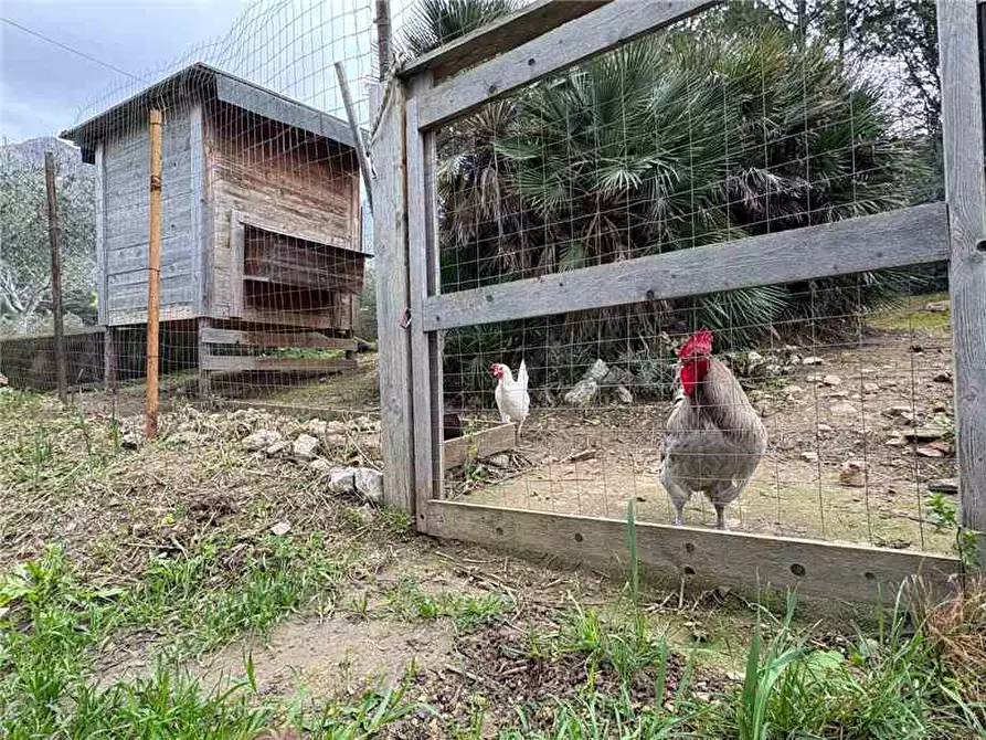 Immagine 13 di Villa in vendita  in Via cda traversa a Casteldaccia