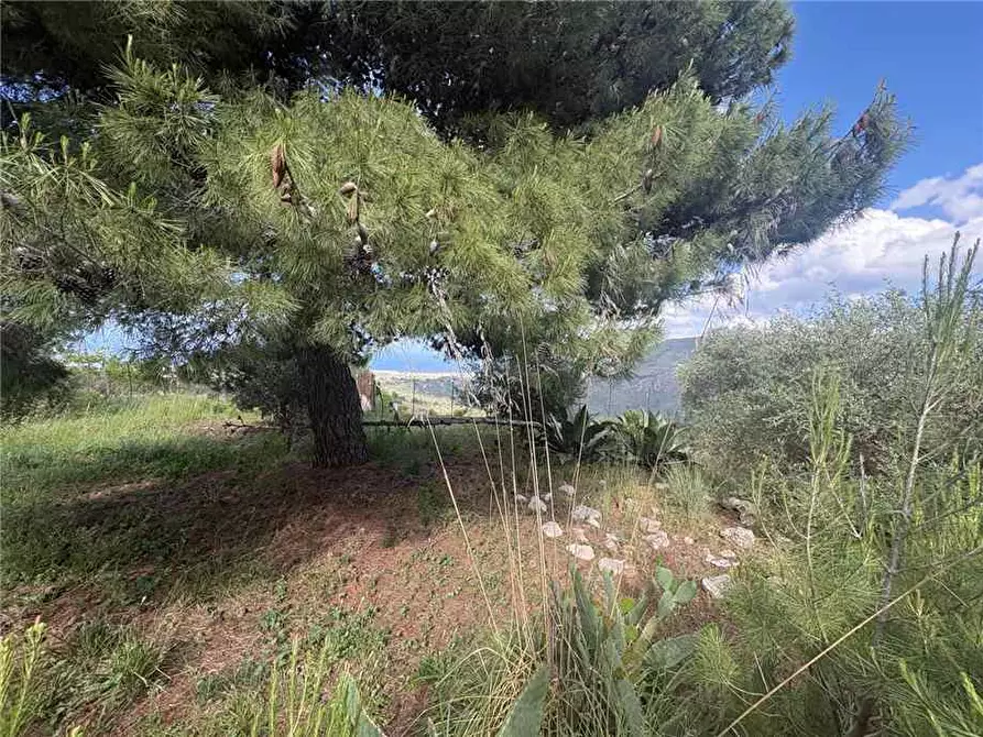 Immagine 3 di Rustico / casale in vendita  in Loc. STRADA VICINALE DEL MOSTO a Casteldaccia