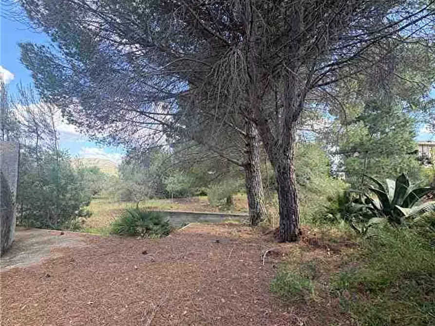 Immagine 4 di Rustico / casale in vendita  in Loc. STRADA VICINALE DEL MOSTO a Casteldaccia