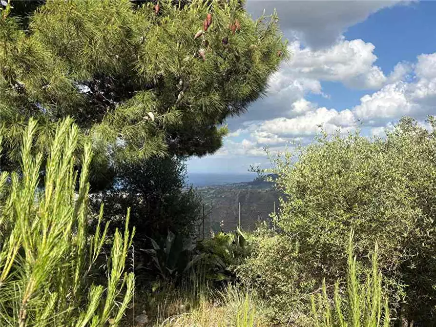 Immagine 5 di Rustico / casale in vendita  in Loc. STRADA VICINALE DEL MOSTO a Casteldaccia