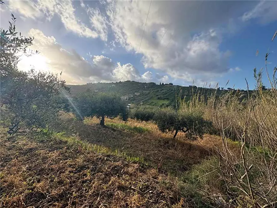 Immagine 1 di Terreno in vendita  in Loc. Contrada Ciandro a Casteldaccia