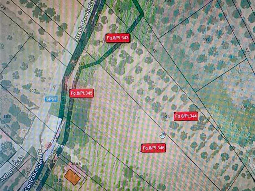 Immagine 10 di Terreno in vendita  in Loc. Contrada Ciandro a Casteldaccia