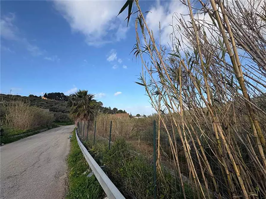 Immagine 2 di Terreno in vendita  in Loc. Contrada Ciandro a Casteldaccia