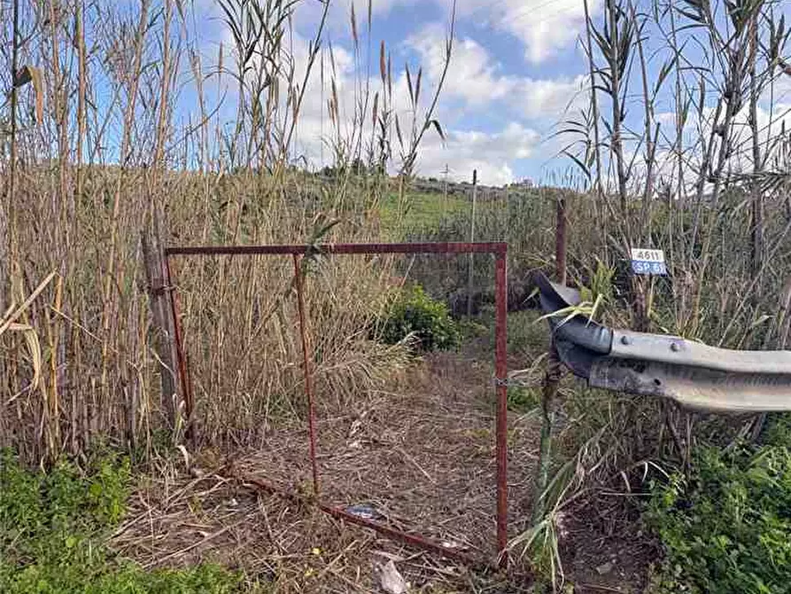 Immagine 3 di Terreno in vendita  in Loc. Contrada Ciandro a Casteldaccia