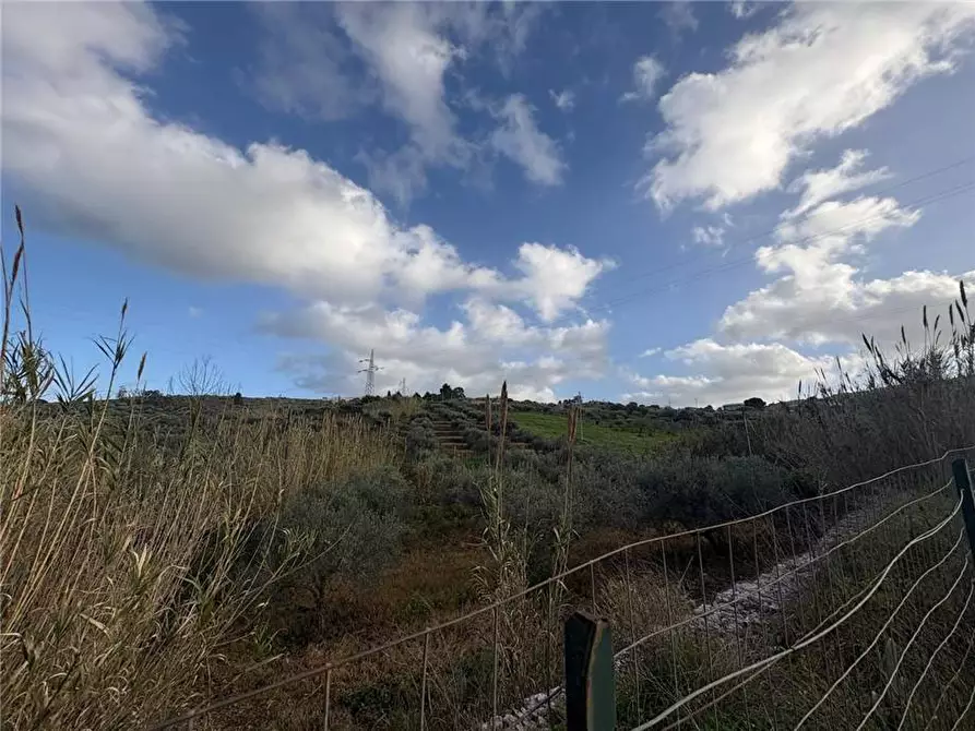 Immagine 4 di Terreno in vendita  in Loc. Contrada Ciandro a Casteldaccia