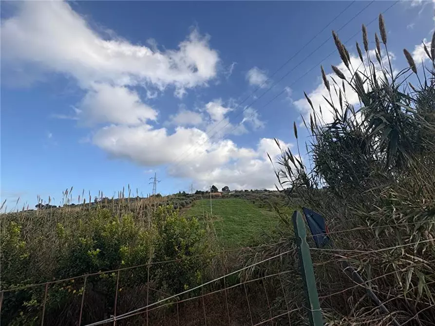 Immagine 5 di Terreno in vendita  in Loc. Contrada Ciandro a Casteldaccia