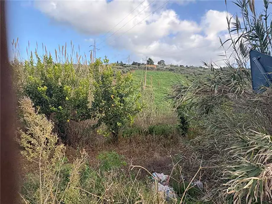 Immagine 6 di Terreno in vendita  in Loc. Contrada Ciandro a Casteldaccia