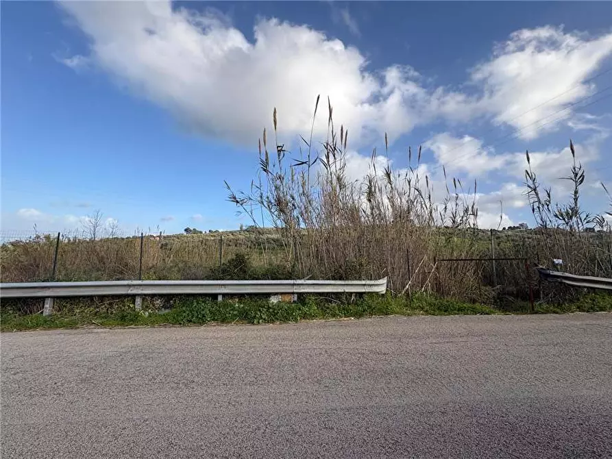 Immagine 8 di Terreno in vendita  in Loc. Contrada Ciandro a Casteldaccia