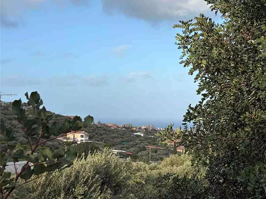 Immagine 9 di Terreno in vendita  in Loc. Contrada Ciandro a Casteldaccia