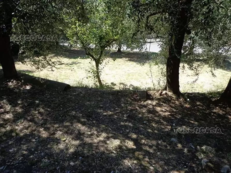 Immagine 2 di Appartamento in vendita  a Fucecchio