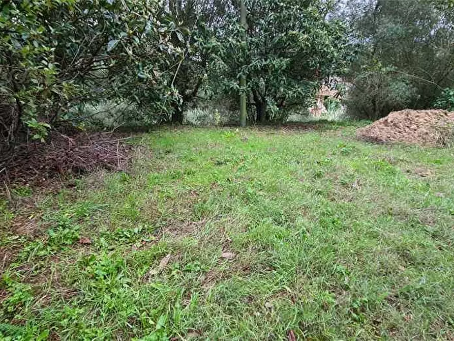 Immagine 2 di Villa in vendita  a Fucecchio