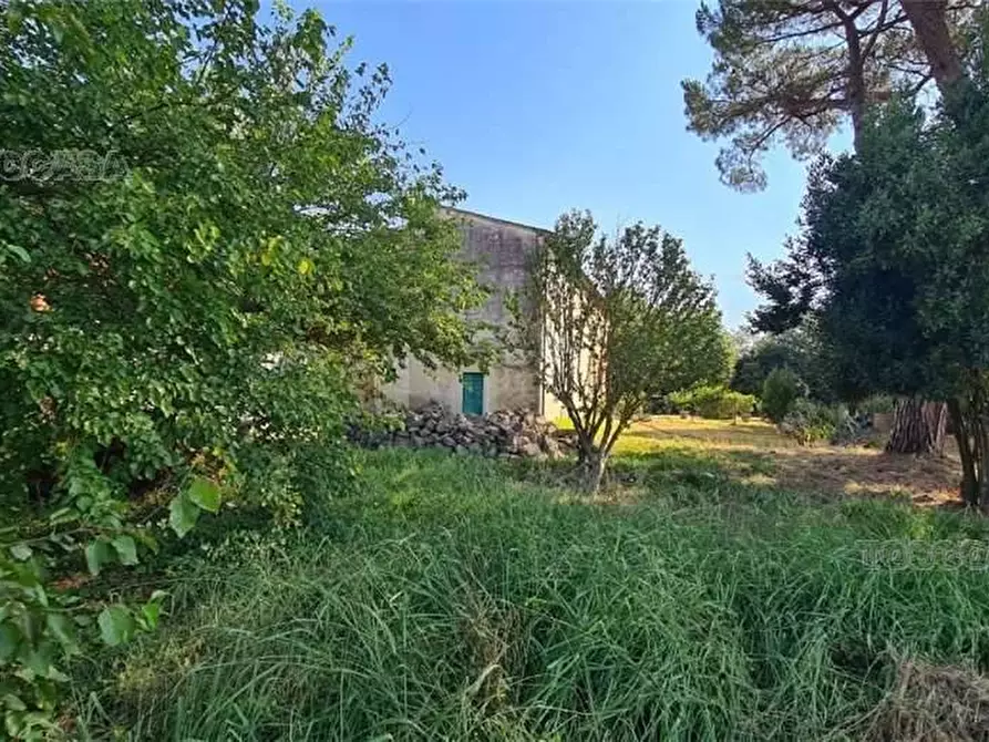 Immagine 3 di Rustico / casale in vendita  a Fucecchio