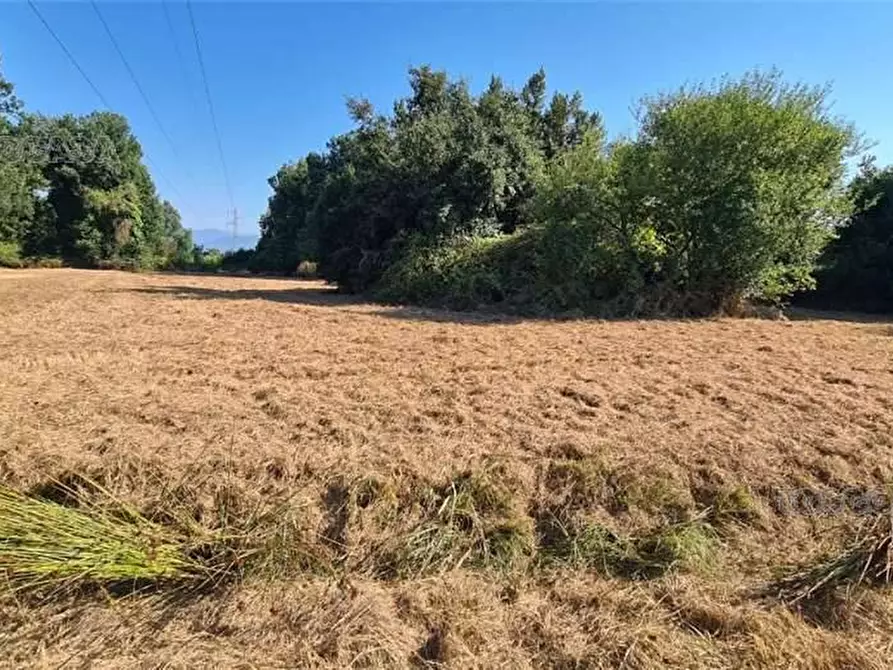 Immagine 4 di Rustico / casale in vendita  a Fucecchio