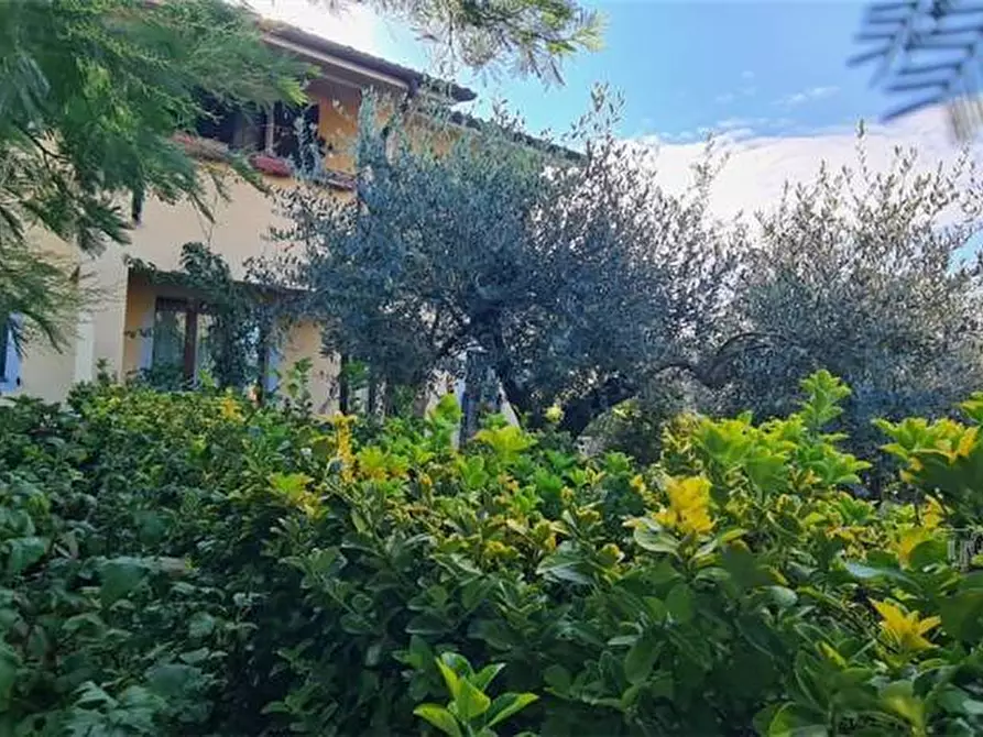 Immagine 1 di Porzione di casa in vendita  a Castelfranco Di Sotto