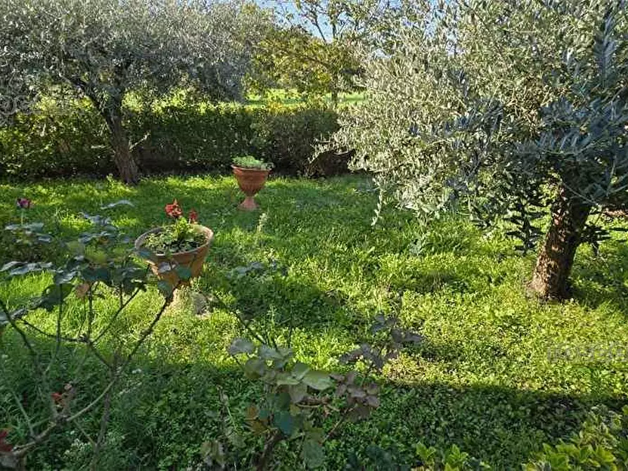 Immagine 2 di Porzione di casa in vendita  a Castelfranco Di Sotto