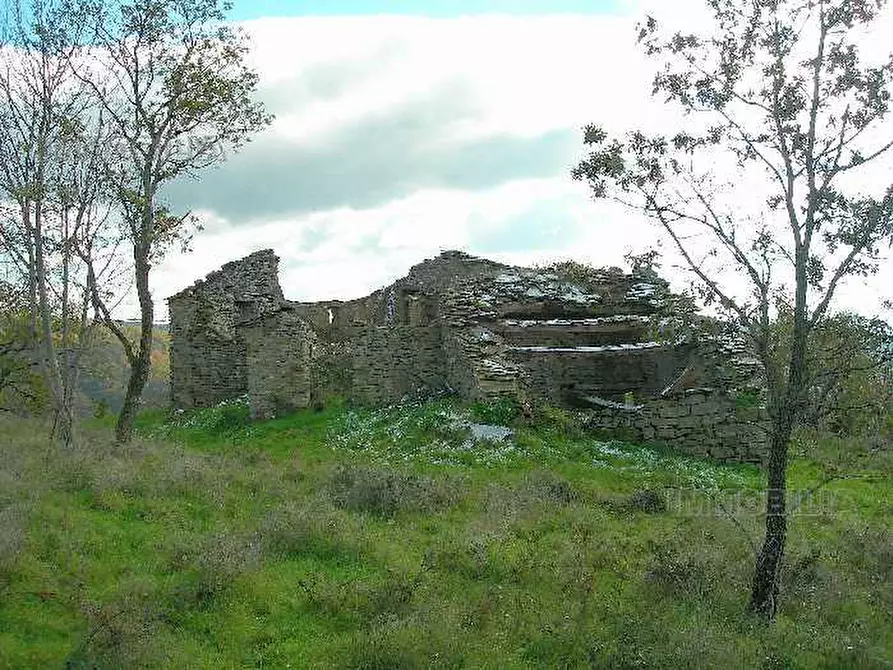 Immagine 2 di Rustico / casale in vendita  a San Giustino
