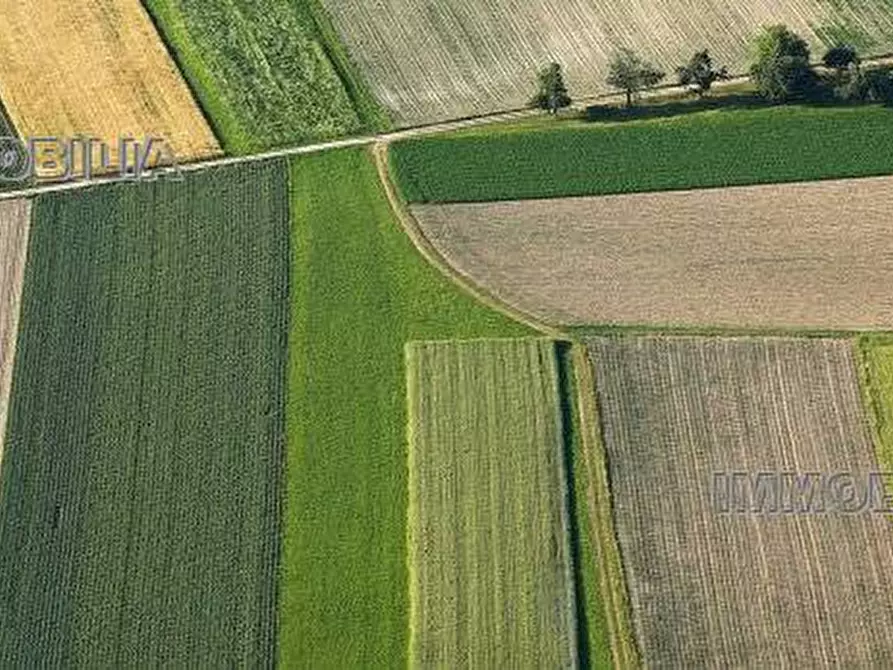 Immagine 1 di Terreno in vendita  a Citerna