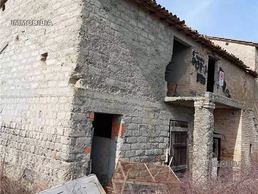 Immagine 3 di Rustico / casale in vendita  a Citerna