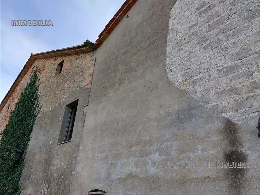 Immagine 4 di Rustico / casale in vendita  a Citerna