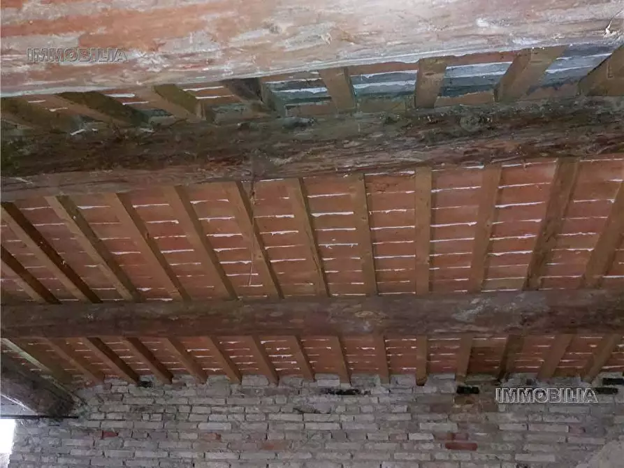 Immagine 3 di Rustico / casale in vendita  a Citerna