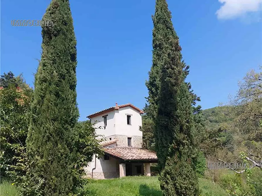 Immagine 1 di Rustico / casale in vendita  a Montone