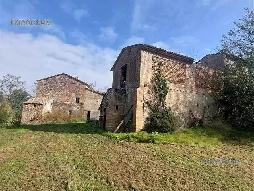 Immagine 1 di Rustico / casale in vendita  a Citerna