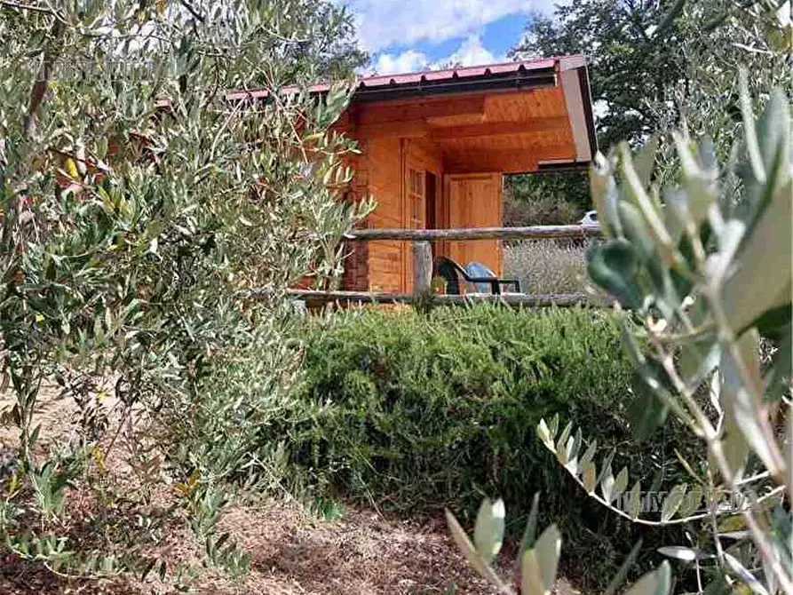 Immagine 13 di Rustico / casale in vendita  a Pieve Santo Stefano