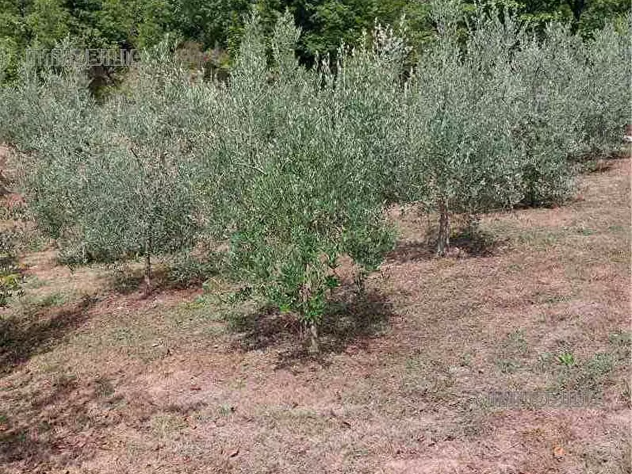 Immagine 20 di Rustico / casale in vendita  a Pieve Santo Stefano