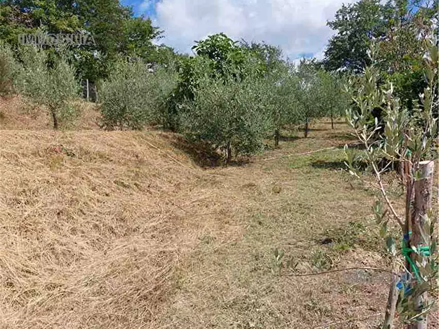 Immagine 21 di Rustico / casale in vendita  a Pieve Santo Stefano