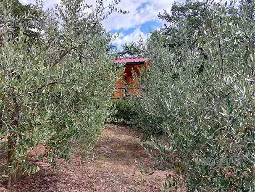 Immagine 22 di Rustico / casale in vendita  a Pieve Santo Stefano