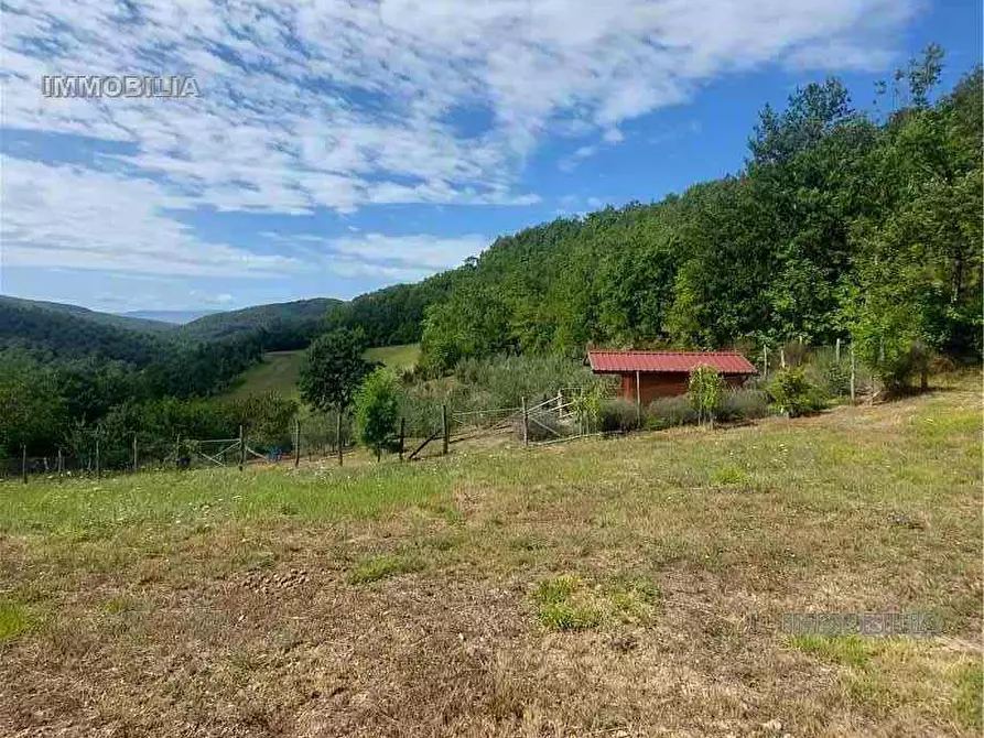 Immagine 3 di Rustico / casale in vendita  a Pieve Santo Stefano