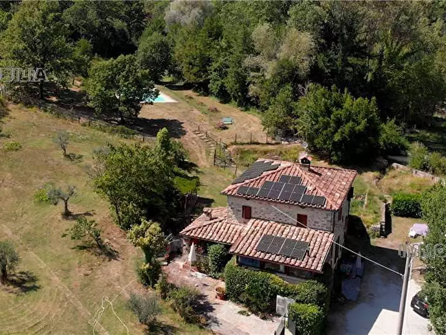 Immagine 2 di Rustico / casale in vendita  a Caprese Michelangelo