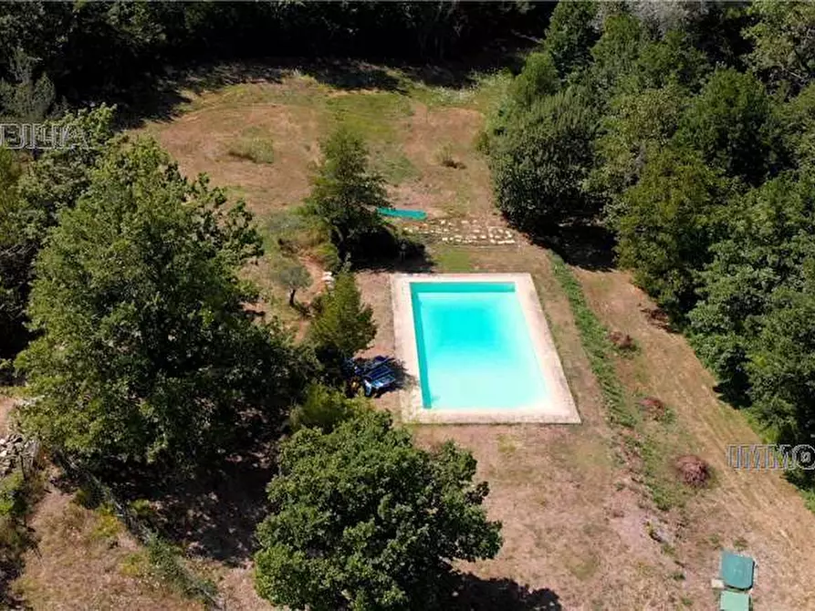 Immagine 3 di Rustico / casale in vendita  a Caprese Michelangelo