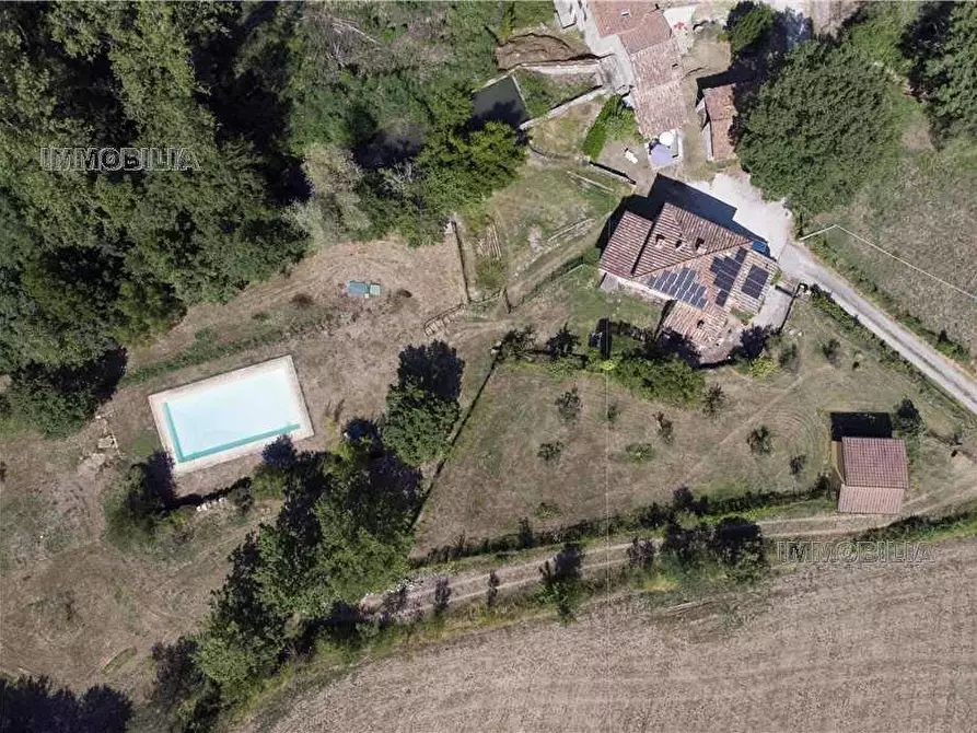 Immagine 4 di Rustico / casale in vendita  a Caprese Michelangelo