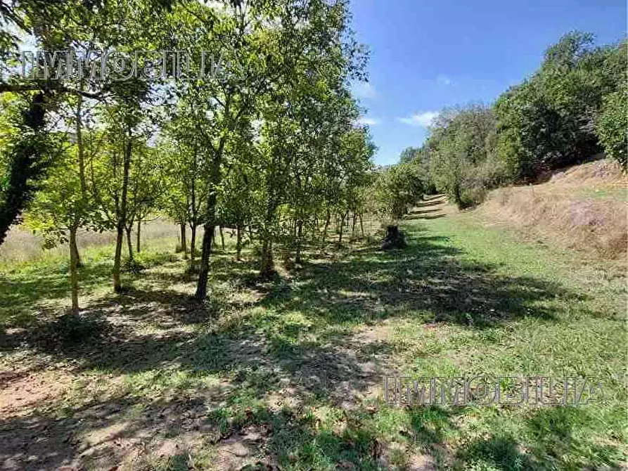 Immagine 11 di Rustico / casale in vendita  a Monterchi