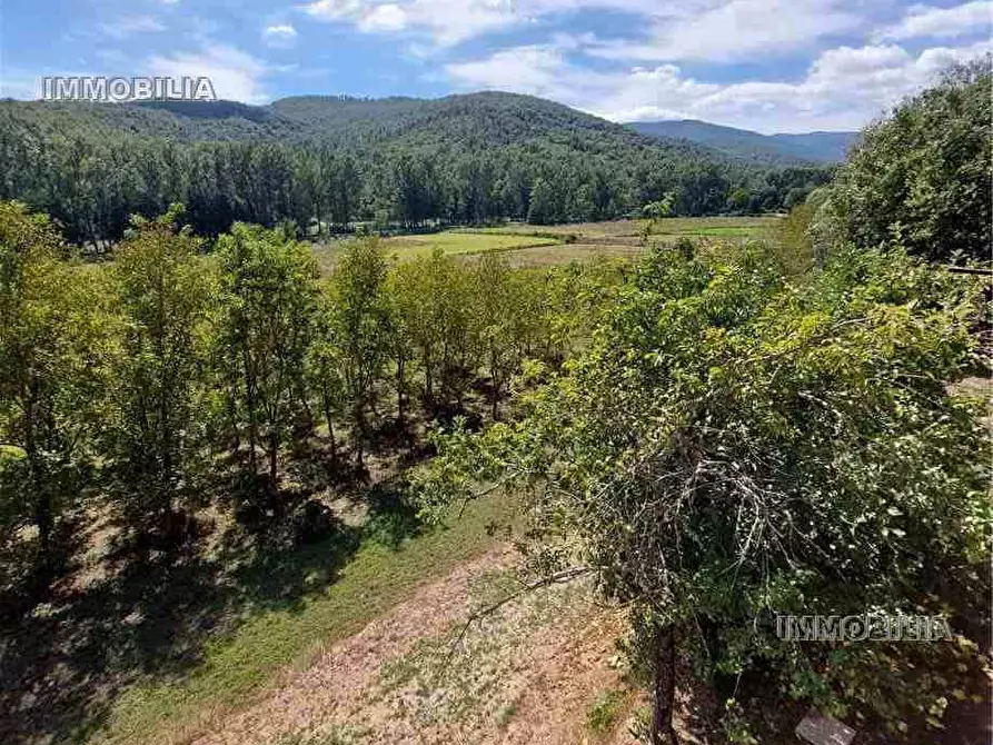 Immagine 2 di Rustico / casale in vendita  a Monterchi