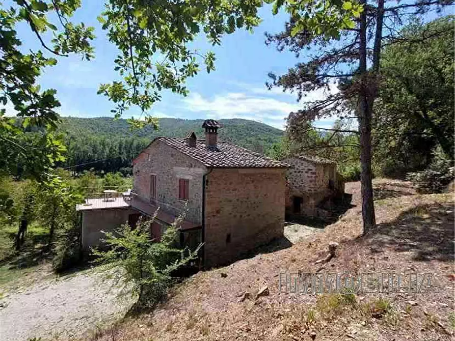 Immagine 6 di Rustico / casale in vendita  a Monterchi