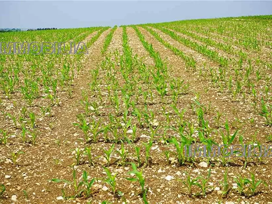 Immagine 1 di Terreno in vendita  a Citerna