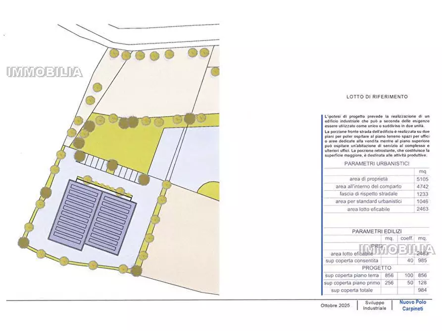 Immagine 4 di Terreno in vendita  a Citerna