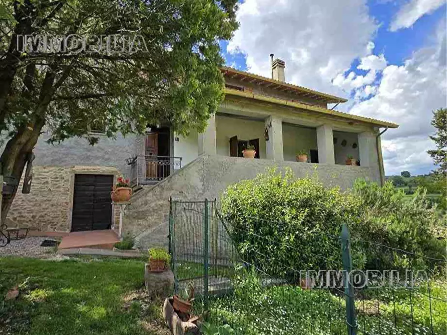 Immagine 2 di Rustico / casale in vendita  a Monte Santa Maria Tiberina