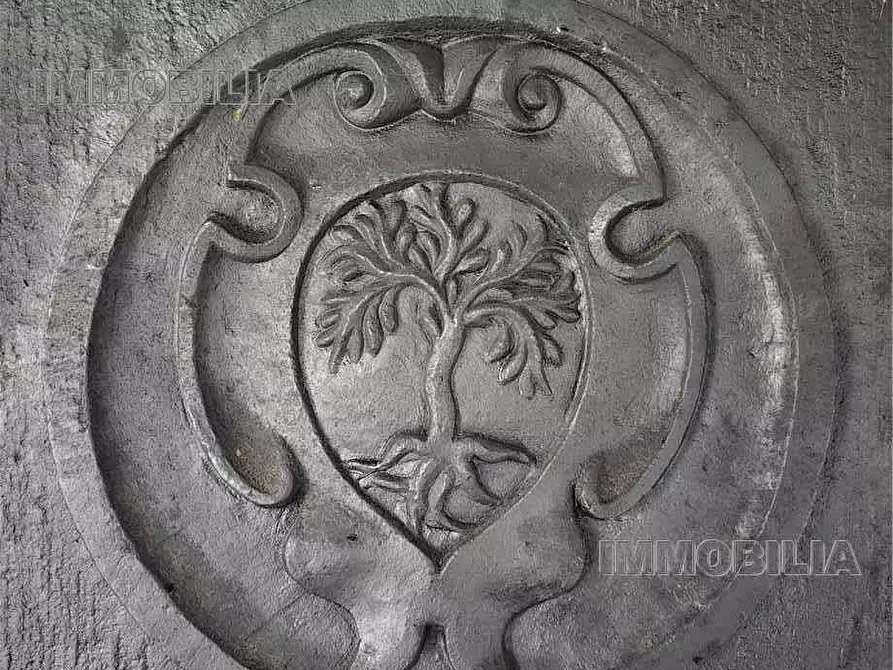 Immagine 25 di Rustico / casale in vendita  a Monte Santa Maria Tiberina