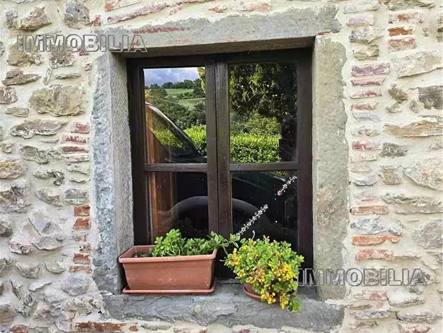 Immagine 5 di Rustico / casale in vendita  a Monte Santa Maria Tiberina