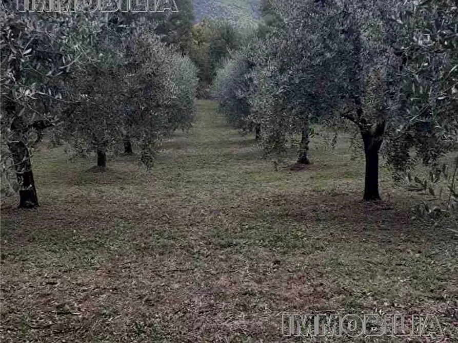 Immagine 3 di Terreno in vendita  a Monterchi